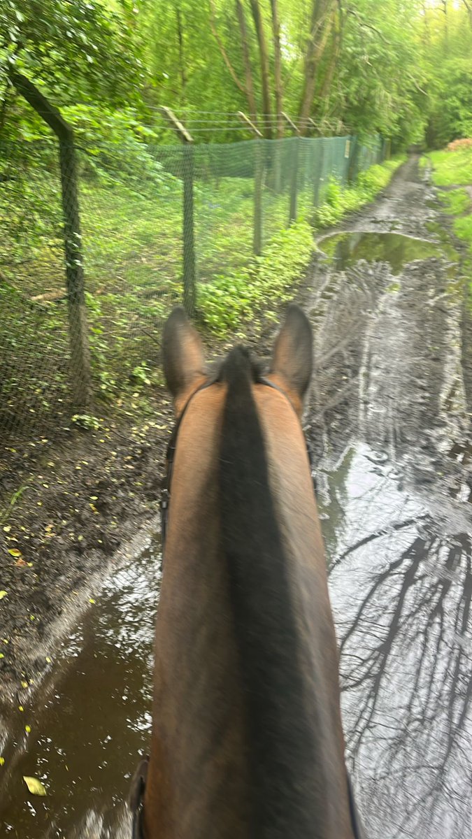 Bank Holiday started right! First proper ride in 4 weeks! Head cleared. 👏🏼