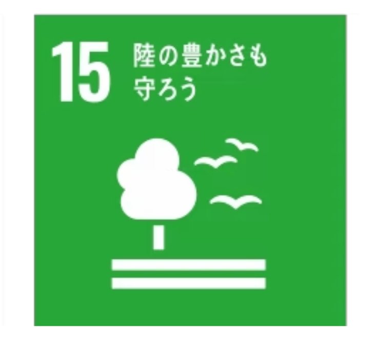 東京もどんどん木が伐採されていきますね。SDGsとか言ってるくせにね。
#この木を守りたい