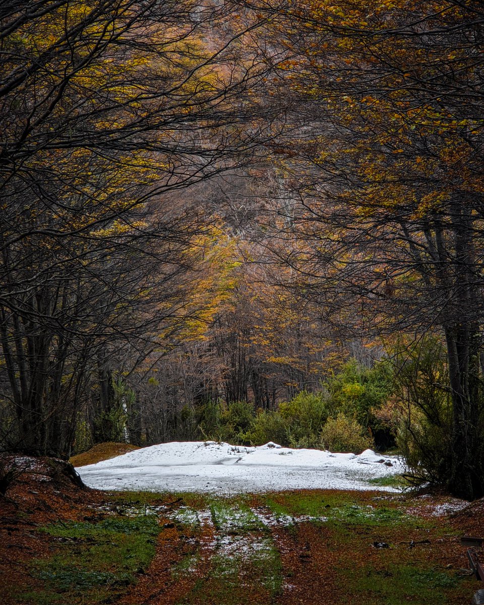 En #Ushuaia ya tenemos el invierno encima 🥶

#TierraDelFuego #Patagonia