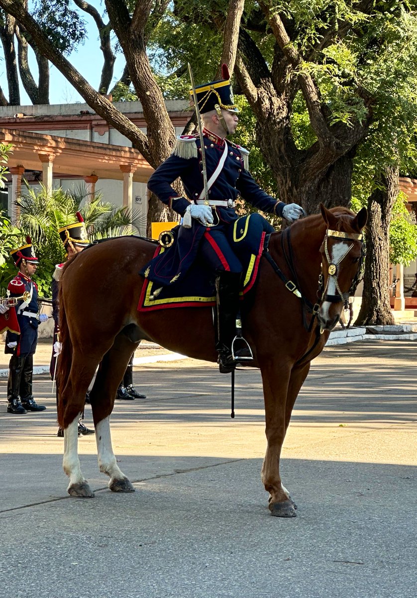 ¡Buen sábado para todos y un excelente comienzo de fin de semana!  🇦🇷 🐴#BuenSabado #FelizSabado   #HerederosDelLibertador #UnRegimientoConHistoria #SomosHistoriaViva #Granaderos