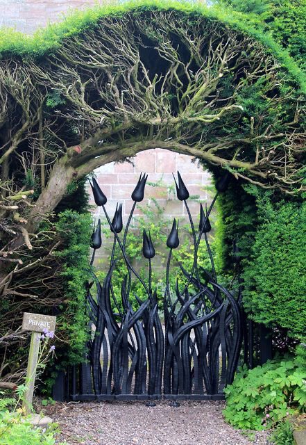 Time for lunch. Fabulous gate Don’t know where it is but Chapelhall B&N took the photo Back soon Helen 🌻🐝🌷