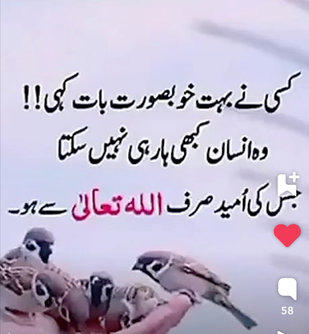 Ali Imam (@aliimam31411417) on Twitter photo 
