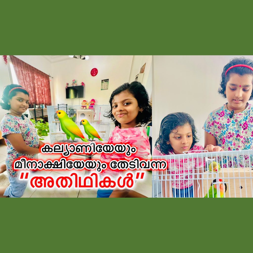 കല്യാണിയേയും മീനാക്ഷിയേയും തേടി വന്ന അതിഥികൾ|LOVE BIRDS🦜|The 4K Family| to get notified for new videos

#vibes 🔴YOUTUBE CHANNEL NAME:-
                          THE 4K FAMILY

Video:-youtu.be/cbmYu_1Lero?si…

#lovebirds 
#The4kfamily
#4kkadalumkarayumkochukeralavum 
#pets