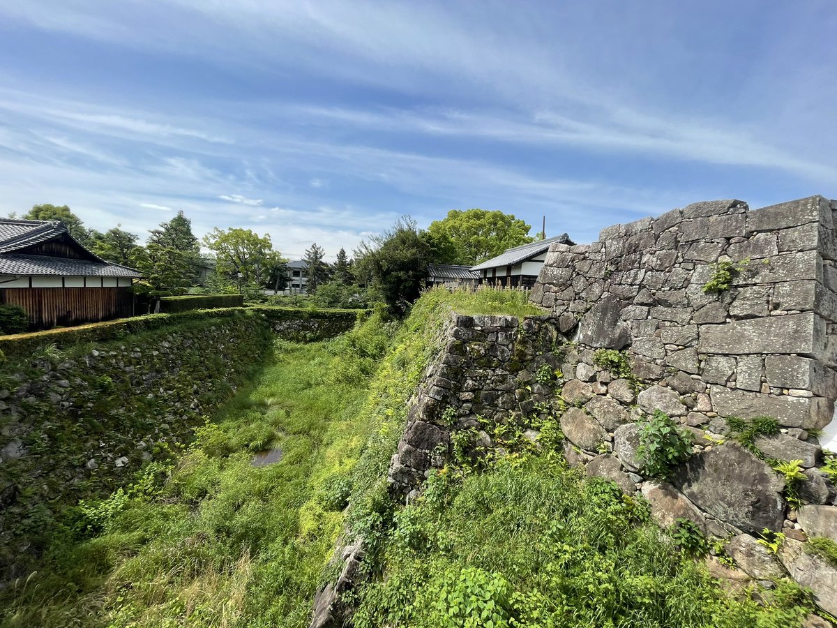 #みどりの日なので緑色の画像を貼る 唐招提寺の苔庭と、郡山城の石垣。