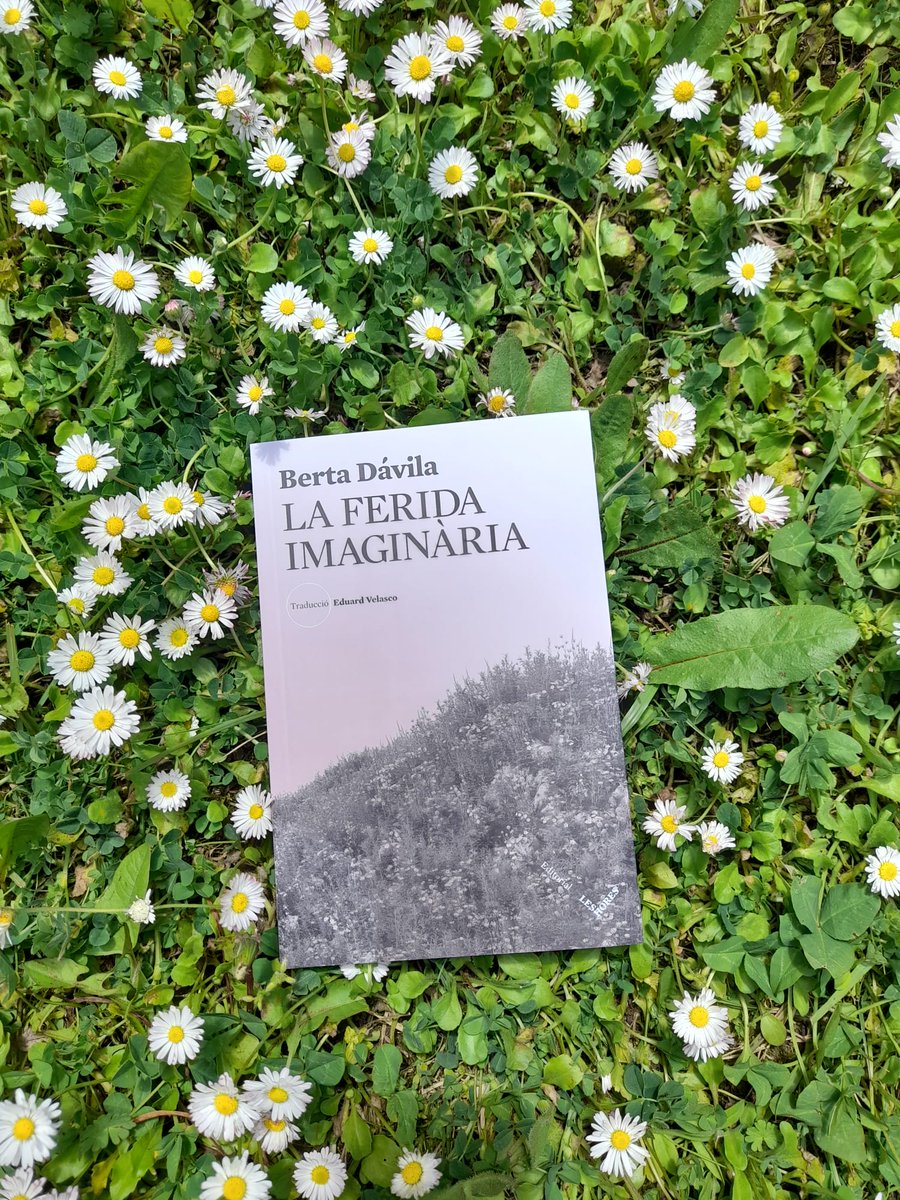 'L'oca treu el cap pel forat i vacil•la. Tímida i sorpresa, avança a passos curts. Després, corre amb les ales esbatanades turó avall per un camp de flors grogues, com si perseguís el seu destí'. Meravellosa, gràcies, grazas @bertadavila @edleshores #Aferidaimaxinaria