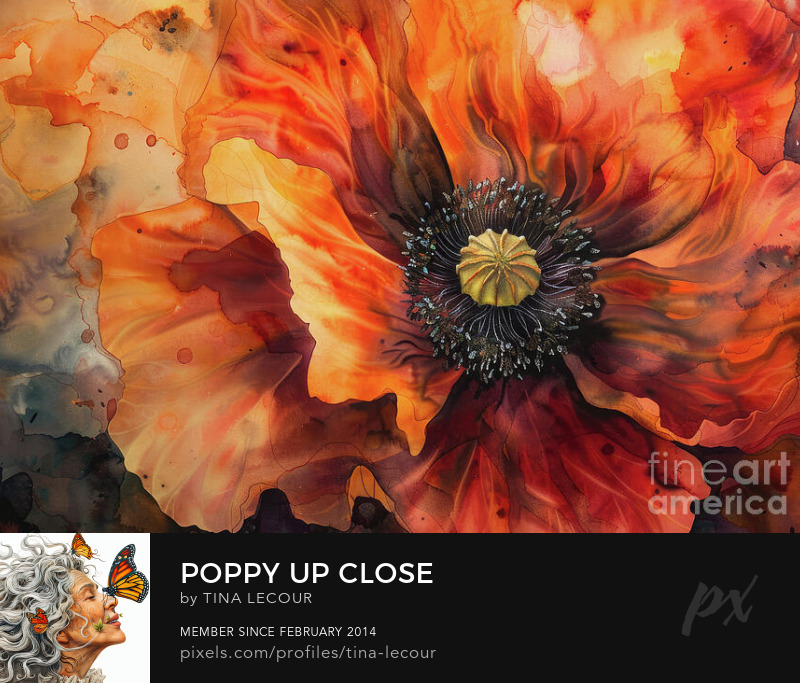 Poppy Up Close...available here..tina-lecour.pixels.com/featured/poppy…

#Flowers #FlowersOnX #floral #wallart #wallartforsale #nature #naturelovers #interiordesign #InteriorDesignMasters #homedecor #giftideas #gifts #MothersDay #mothersdaygiftideas #greetingcards #poppy #spring #GIFTNIFTY