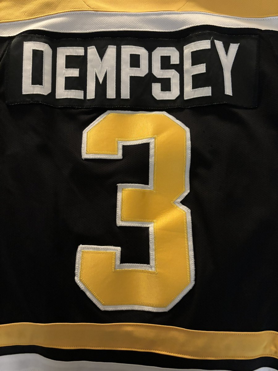TaiterTot24's tweet image. Ready for today’s @PWHL_Boston vs @PWHL_Montreal game! Of course we have to catch @JilliantDempsey play in person before the season is over!