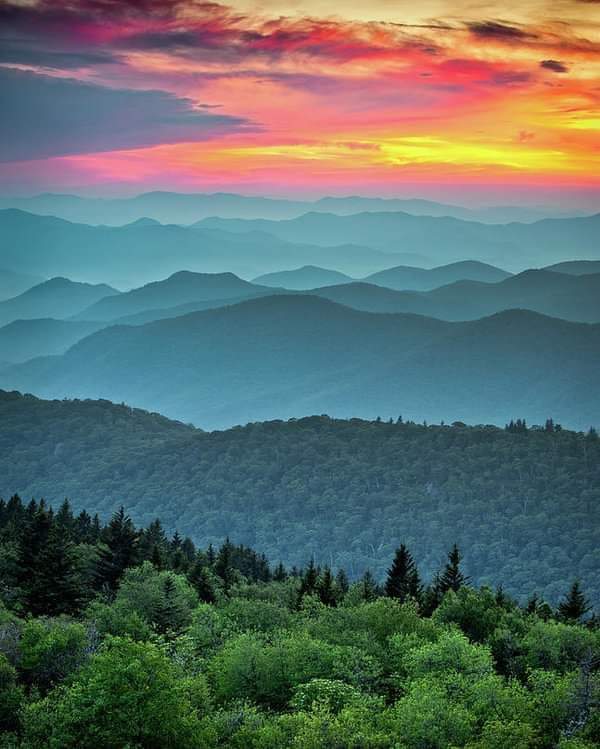 True solitude is found in the wild places, where one is without human obligation. One’s inner voices become audible. One feels the attraction of one’s most intimate sources. In consequence, one responds more clearly to other lives. ~ Wendell Berry - Blue Ridge Parkway Sunset