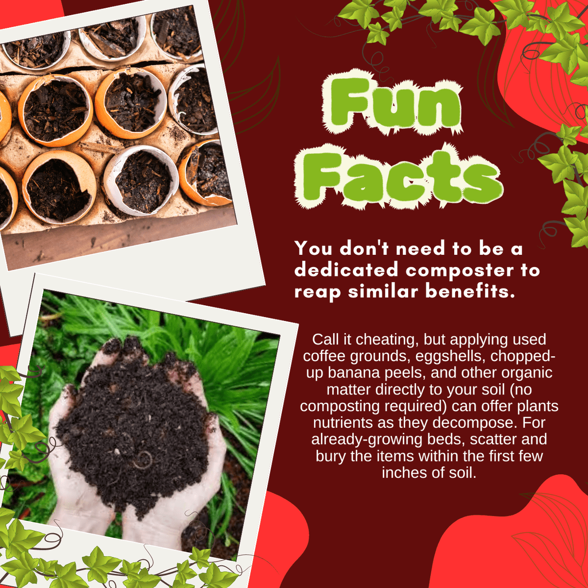 Fishtelizer's tweet photo. FUN FACT ABOUT PLANTS 📢🌱☀️ 🕵️‍♀️

Follow @fishtelizer for interesting content 😍😍

#fertilizer #nitrogenrichfertilizer #planting #gardening #gardeningathome #growvegetablesathome #boostplantgrowth #hydroponics #madeinusa #funfacts #plantsfacts #plantingfacts #microorganisms https://t.co/vdMlhRjOC9