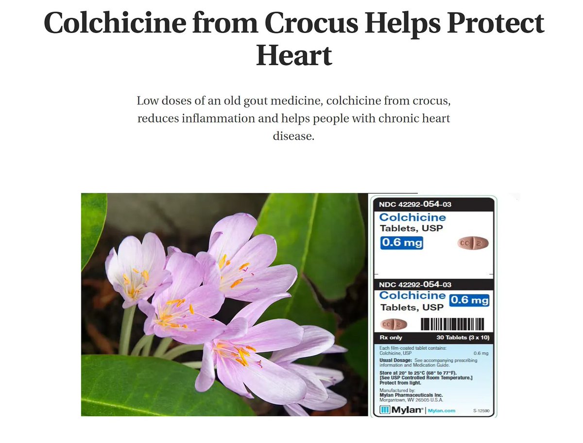 Colchicine used extensively to reduce hospitalization/death in acute COVID-19 illness, treat mRNA vaccine myo-pericarditis, and pleurodynia. In 2023, the generic drug received indication for secondary prevention of heart disease. Expect many prescriptions written.…