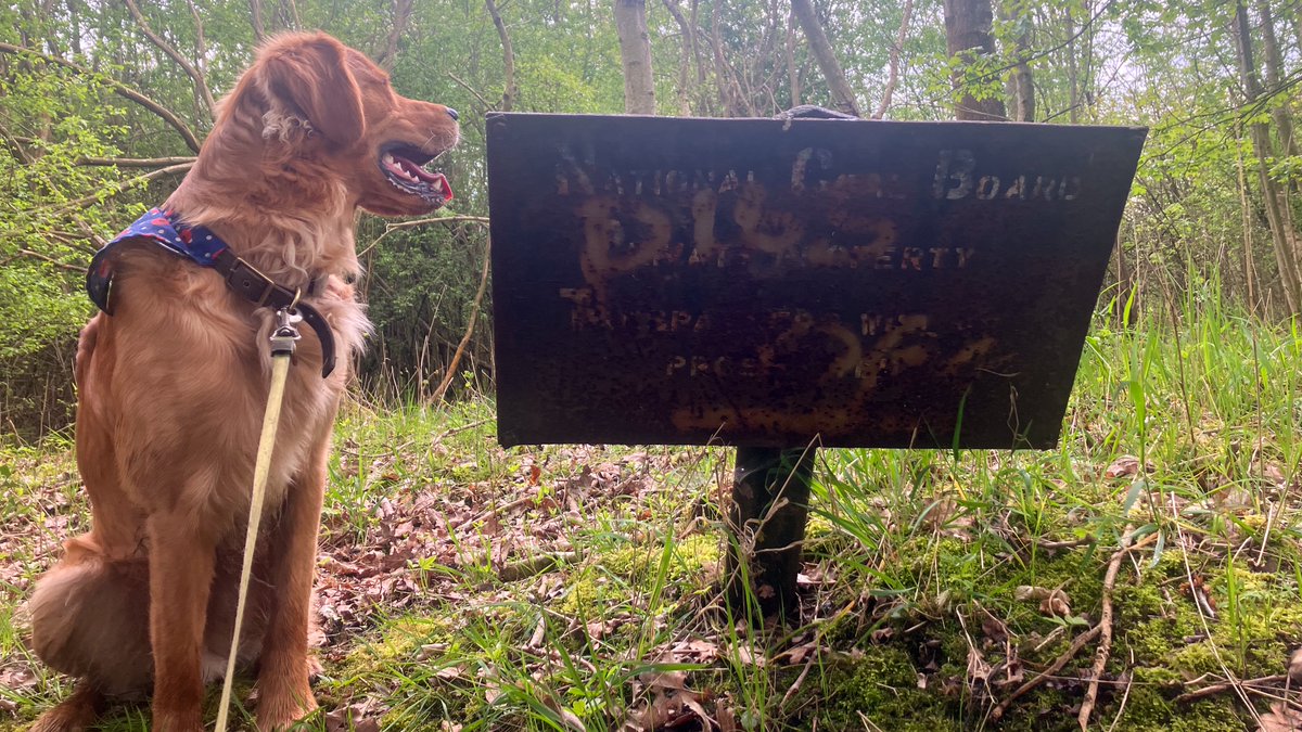 Finlay #RedMoonshine has found the #NationalCoalBoard while walking the #DudleyNo2Canal #BoatsThatTweet #KeepCanalsAlive #LifesBetterByWater #FundBritainsWaterways  redmoonshine.com