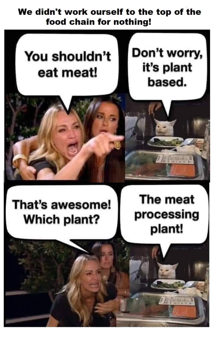 GMu7ElsXYAAboXv?format=jpg&name=medium