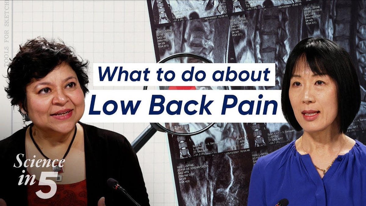 DYK that chronic low back pain is a major cause of disability impacting people’s physical capabilities, sleep, participation in work, school & relationships? What kind of treatment should you ask for? Learn to manage your low back pain in @WHO #Sciencein5 buff.ly/4b05pj1
