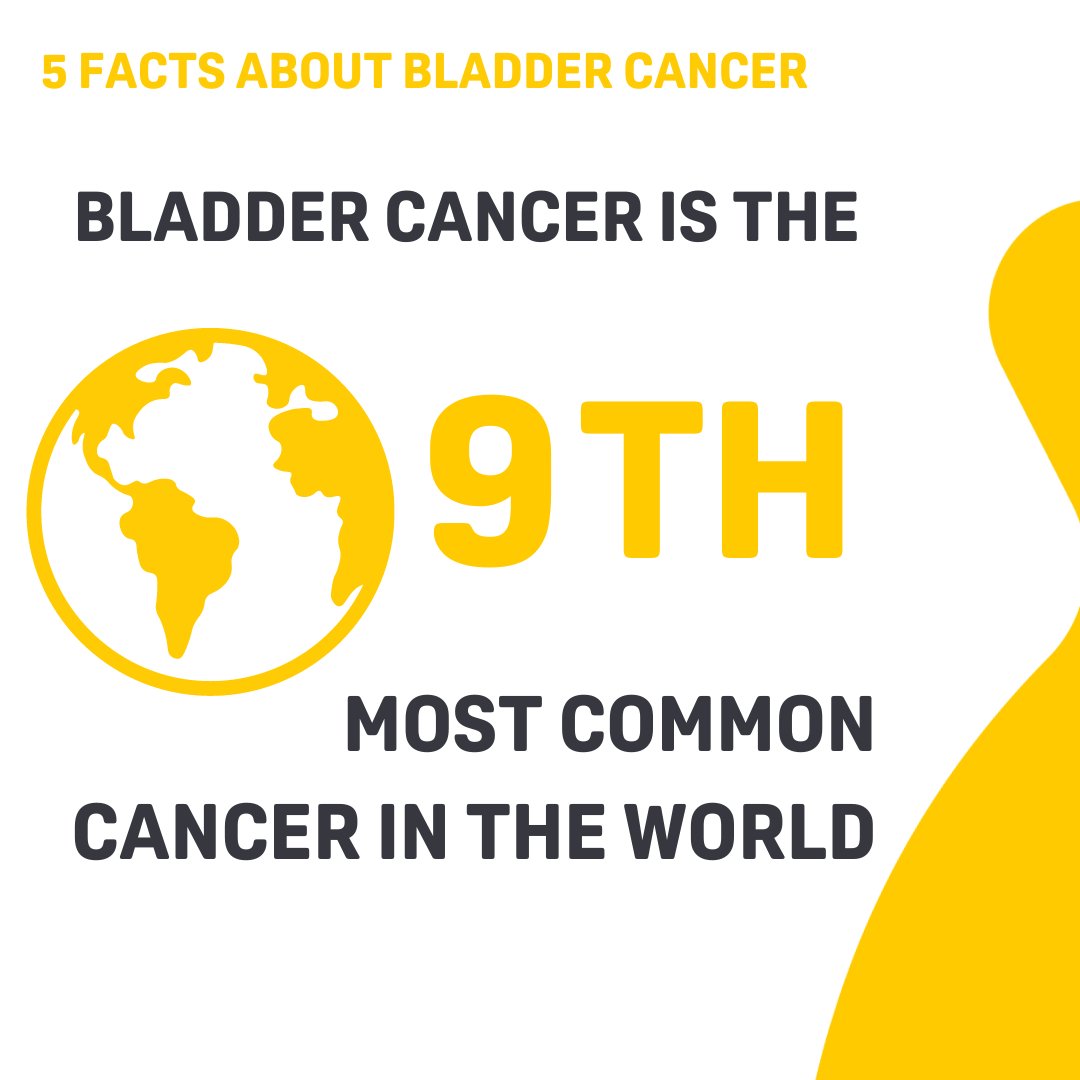 🌍 Did You Know? 🌍 #Bladdercancer ranks as the 9th most common cancer worldwide. Awareness is key in fighting this disease! 🔗 Discover more about global impact and support👉 worldbladdercancer.org/bladder-cancer/ #BladderCancerMonth24