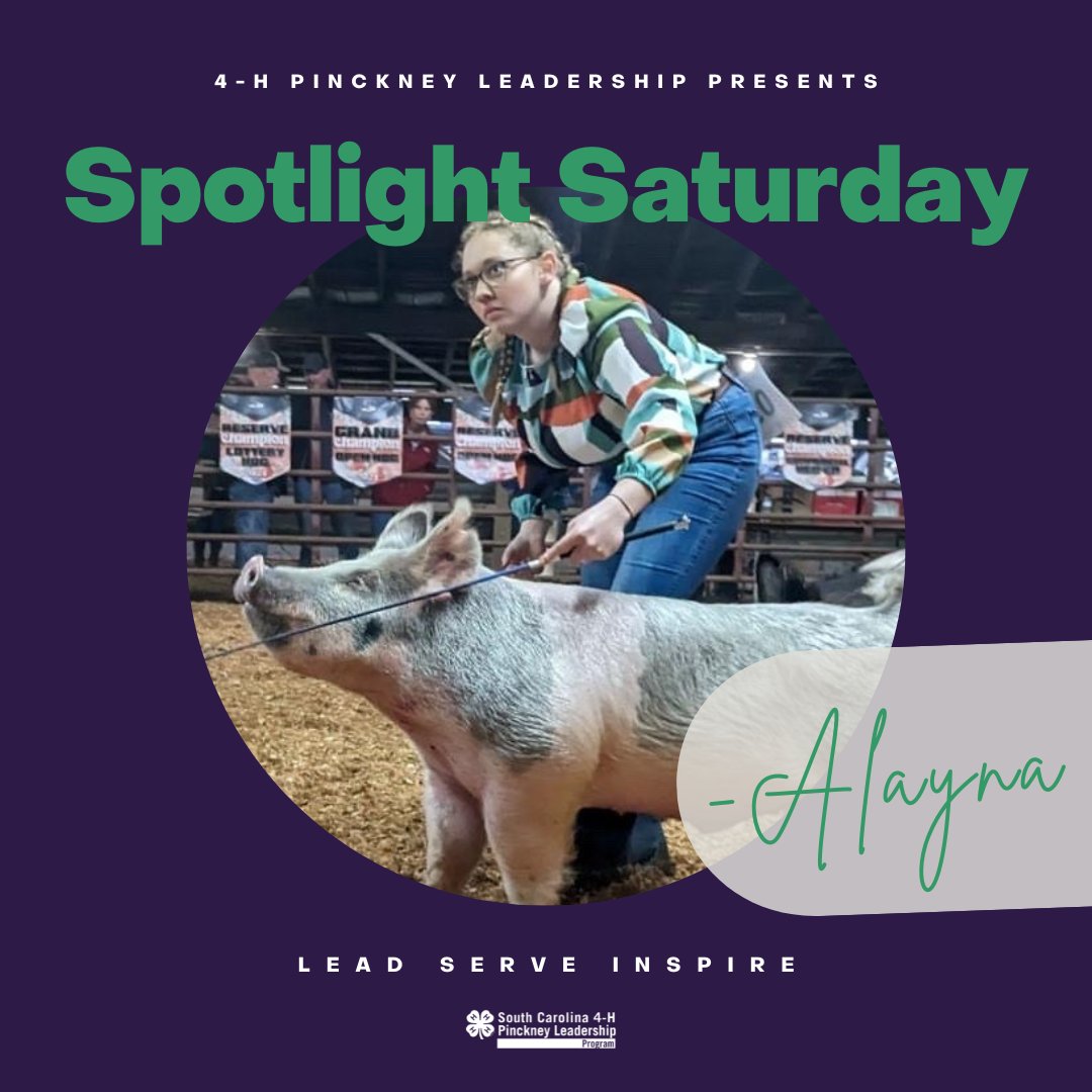 It's #SpotlightSaturday and today, we want to congratulate 4-H Pinckney leader Alayna!  Alayna won her first showmanship class and was Grand Champion and Reserve Grand Champion for her pigs Zurg and Trixie!
We're very proud of you, Alayna!🍀
#4HPinckneyLeadership #ThisIs4H