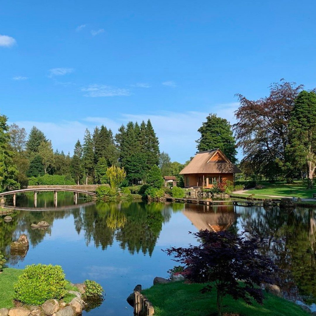 El 42% de la población del Reino Unido 🇬🇧 tiene como hobby la jardinería. 🌱 🌳 Y como es #NationalGardeningWeek, te dejamos 3 jardines británicos para inspirarte a empezar: 🌷 Los jardines Clyne en Gales 🏴󠁧󠁢󠁷󠁬󠁳󠁿 🌷 Levens Hall en Inglaterra 🏴󠁧󠁢󠁥󠁮󠁧󠁿 🌷 El Jardín Japonés en Escocia 🏴󠁧󠁢󠁳󠁣󠁴󠁿