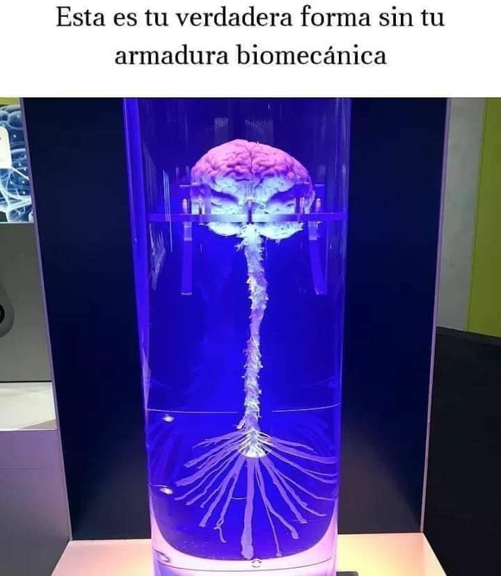 Enséñame de Ciencia (@ensedeciencia) on Twitter photo 