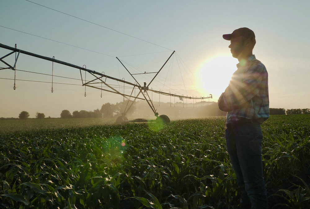 Should farms consider ecological diversity as a risk management tool? albertafarmexpress.ca/opinion/schoep…