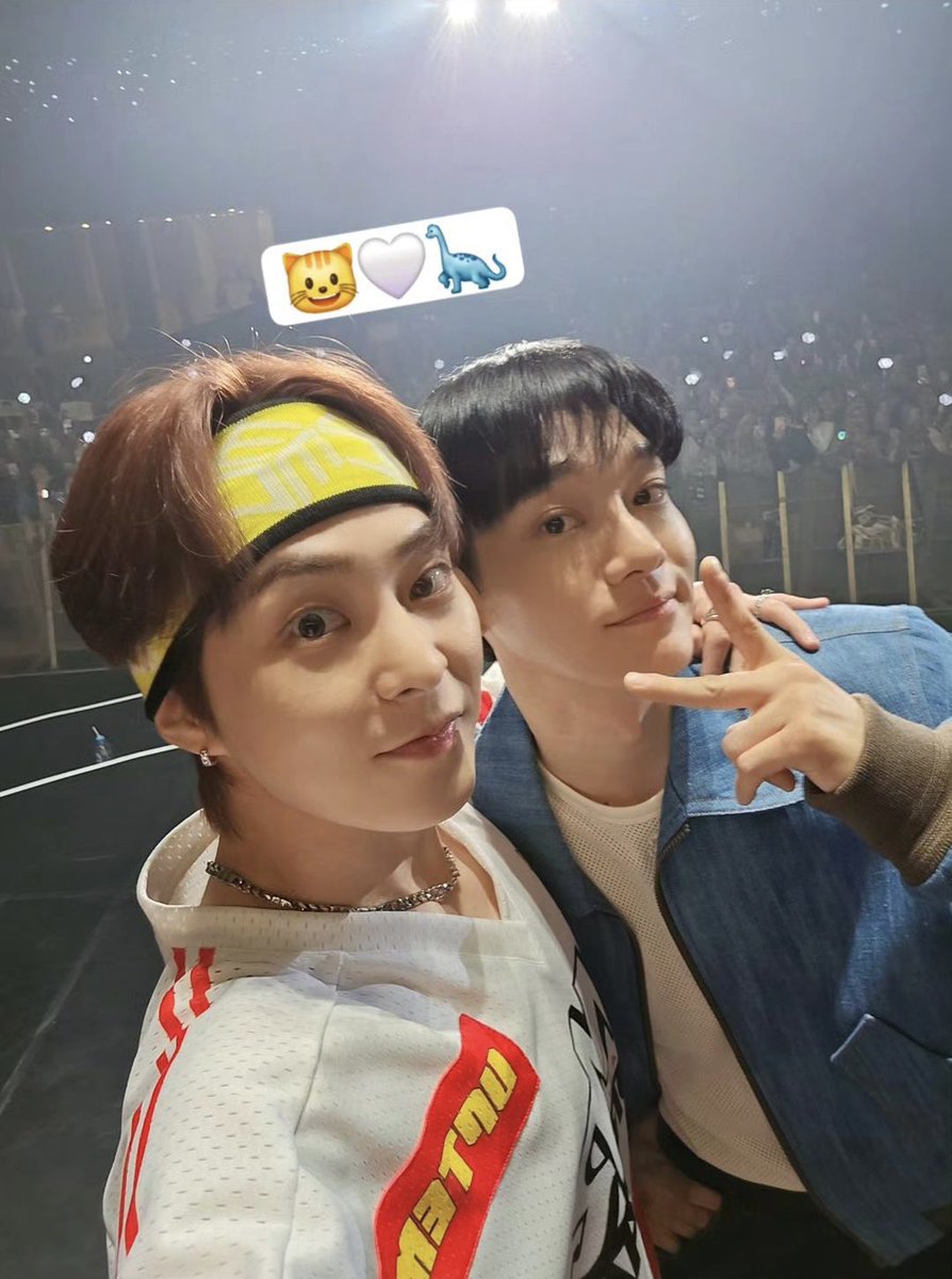 Minseok and Jongdae’s latest selfie 🤳🏻🐱🤍🦕✨ The set-up The shot