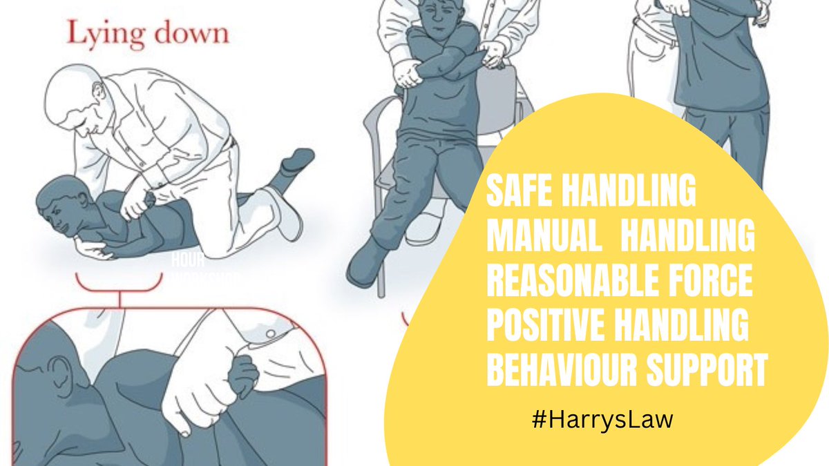 Some words you might see on your child’s risk assessment should be red flags 🚩🚩
when these words are incorporated into your child’s care plan there’s no obligation for a school to record or report the frequency of restraint taking place. 
Restraint is concealed. 
#HarrysLaw
