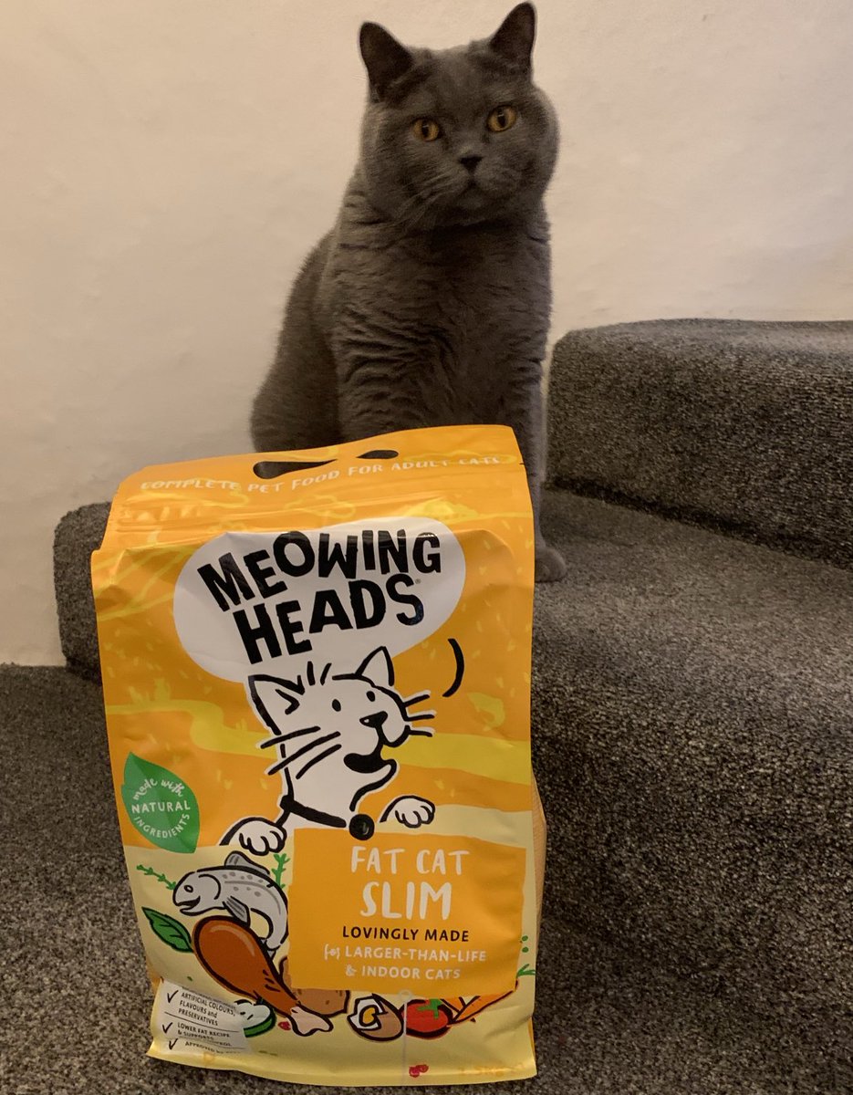 Just called the Police. One of them has bought THIS by mistake. “Fat Cat Slim” seriously he should be eating it not me! 

#Caturday #CatsOnX #Xcats #CatsOnTwitter #CatsOFTwitter #Crime