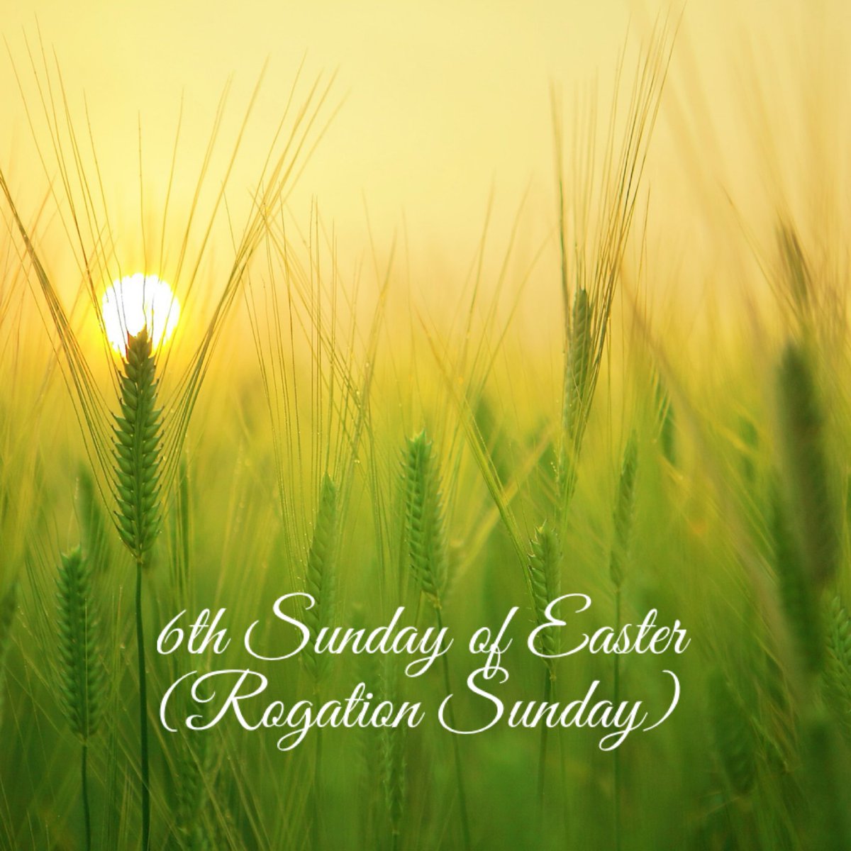 This Sunday is #RogationSunday, when we pray for healthy crops. We will also continue our Easter journey exploring Jesus’ new commandment. You are invited to join in: 9.15am St Peter’s with #SundaySchool 11.15am St Illtyd’s with Sunday School 3.30pm Confirmation course s3