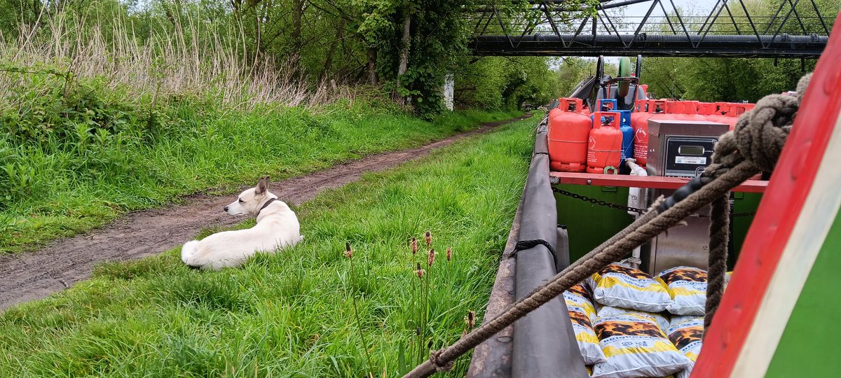 We're just chilling before starting our day. Enjoying the sounds of #nature #boatsthattweet