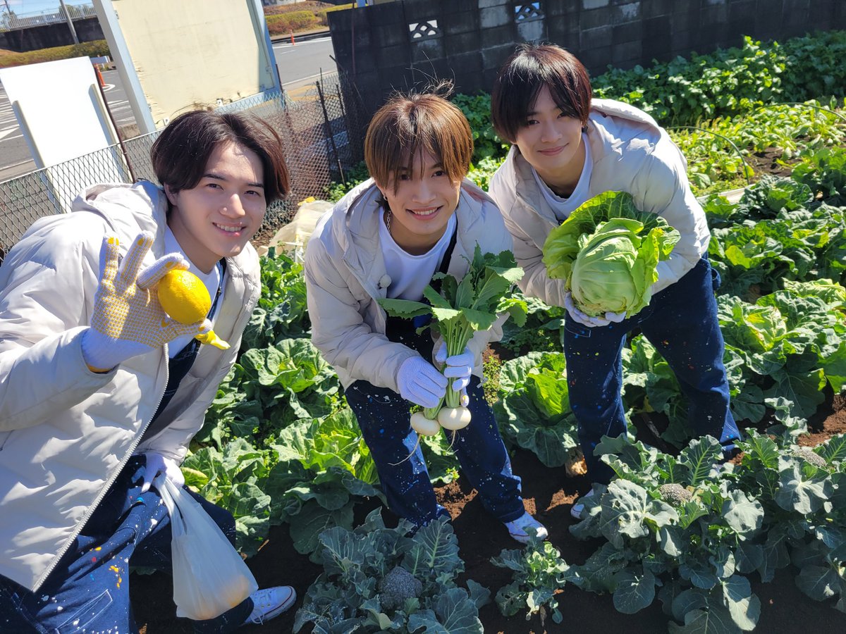 kakueki_ex5's tweet image. 本日の🚞🖍
#カクエキフォト 📷

#ジュニア
#美少年 #7MEN侍
#岩﨑大昇 #浮所飛貴 #那須雄登
#矢花黎 #今野大輝 #菅田琳寧