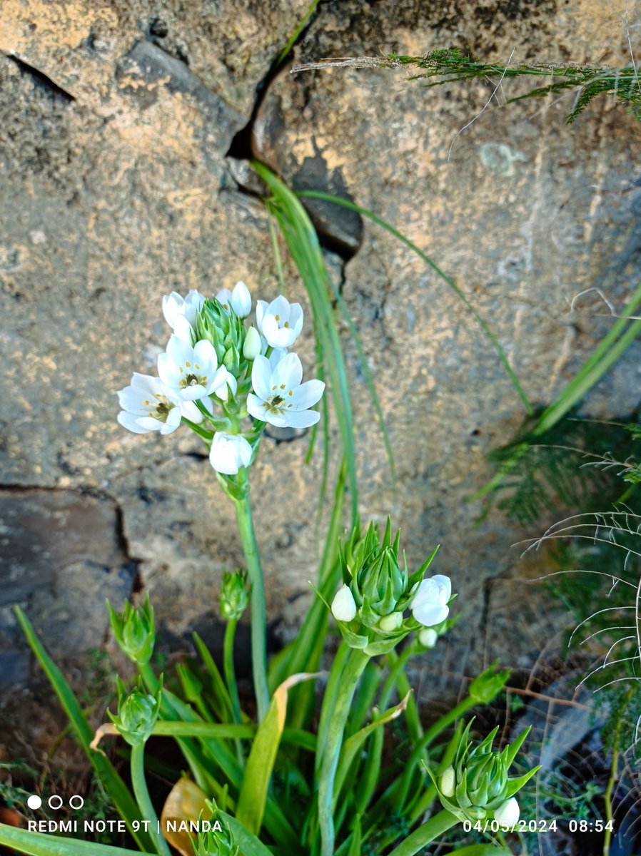 Fernanda Figueira (@nandafigue) on Twitter photo 