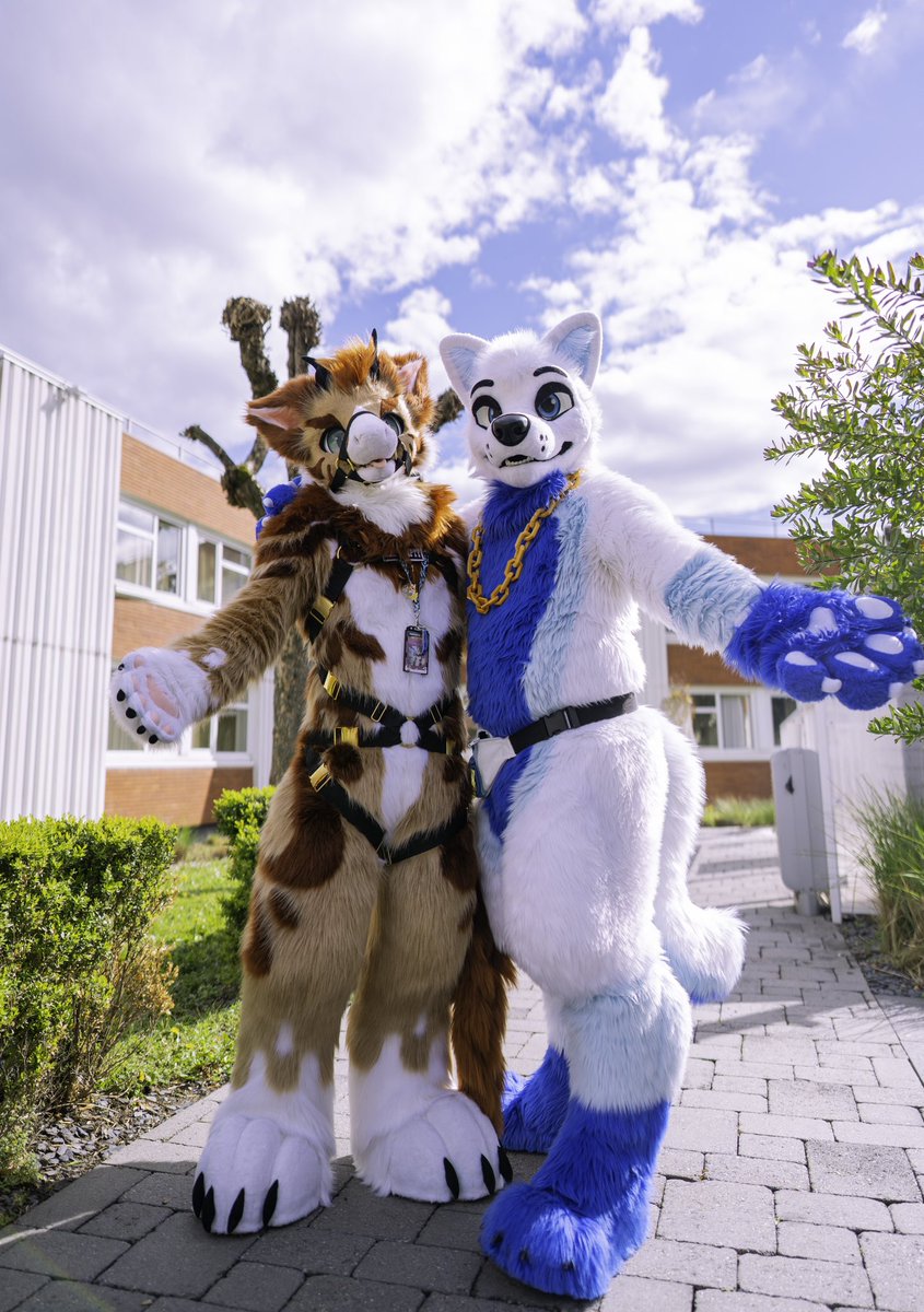 Enjoying the simple things in life, like finding a cute fursuit to take a photo with 📷☀️ With @Alcepiade 📷 @Krymson_K