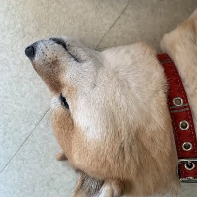 ASH12nkjm's tweet photo. #新しいプロフィール画像 https://t.co/bQIAXss8Xb