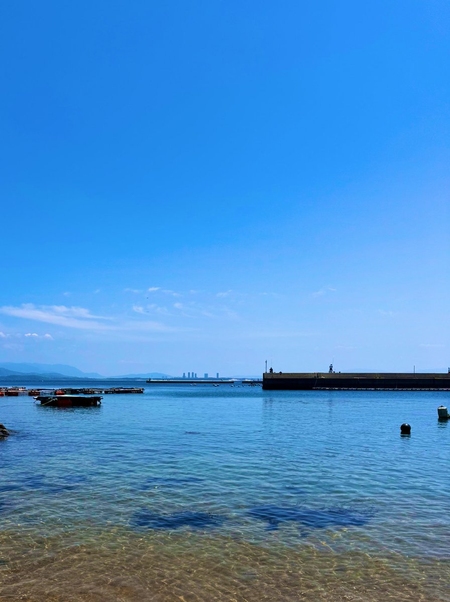 海に行ったんだけど浮かんでいるウキを見るたびにモラ箱に見えてフリーナのスキル使ってから海上に駆け出したい欲に襲われてました。これがゲーム脳…