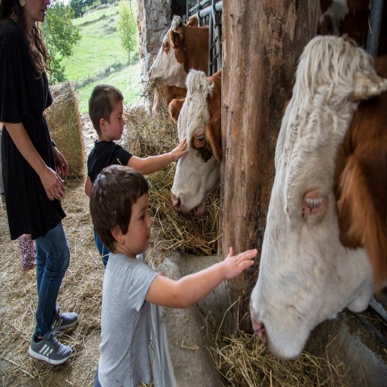 Experiencia Rural en un caserío de Elorrio. 🎟️ Visita en castellano: i.mtr.cool/exrgoerket 🎟️ Visita en euskera: i.mtr.cool/jyfwikqszj