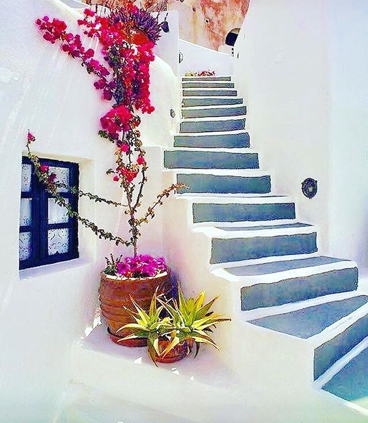 In the quiet corners of #Greece, flowers pave the path to peaceful retreats. 🇬🇷 #Tinos 📷 seajetsgr