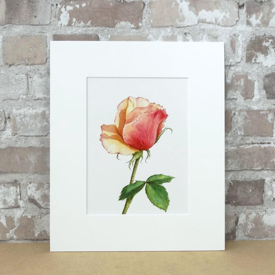 Happy weekend #ukgifthour #ukgiftam this is just one of my floral watercolours available in my shop on #folksy folksy.com/items/8050821-… #shopindie #art #floral #ROSE #watercolour #floralart