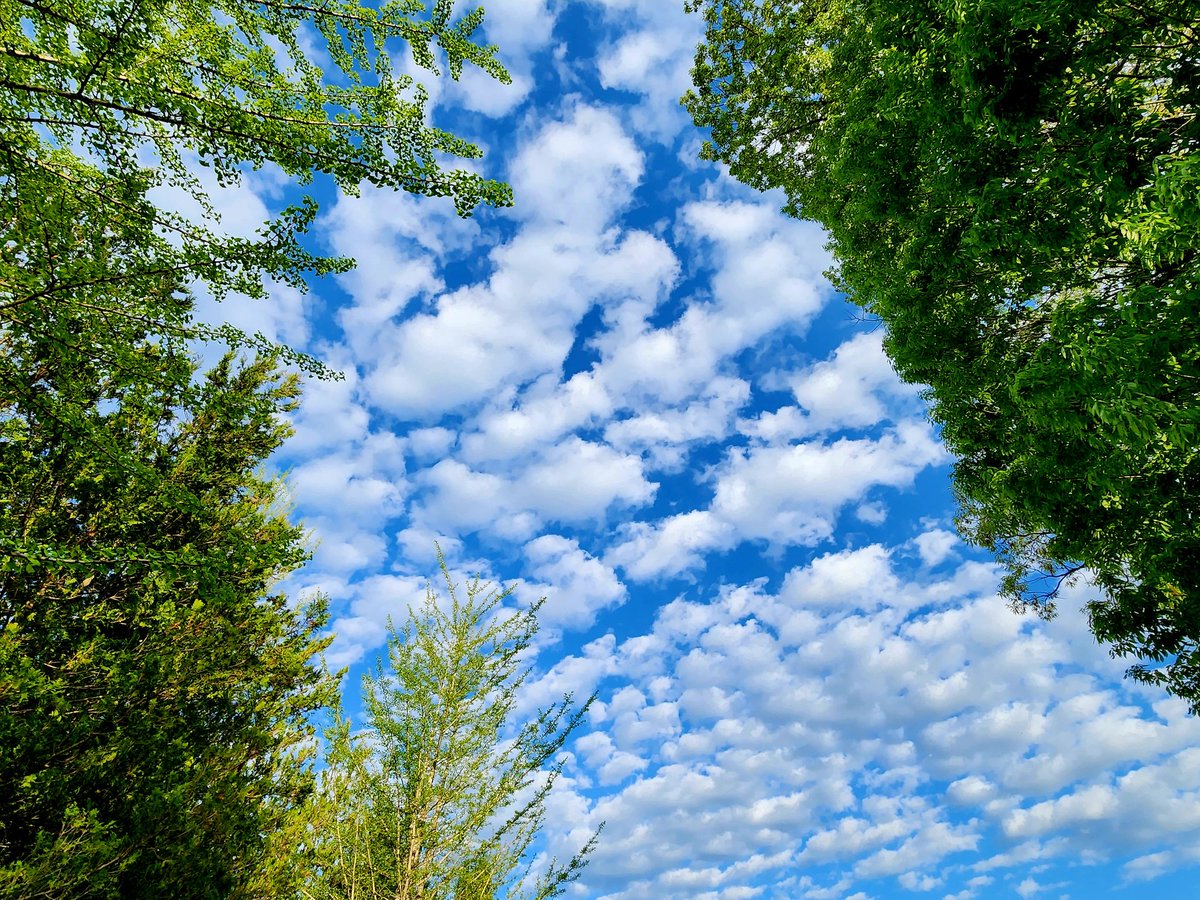 なんだか秋の雲のような夏日の松川村の空
#松川村