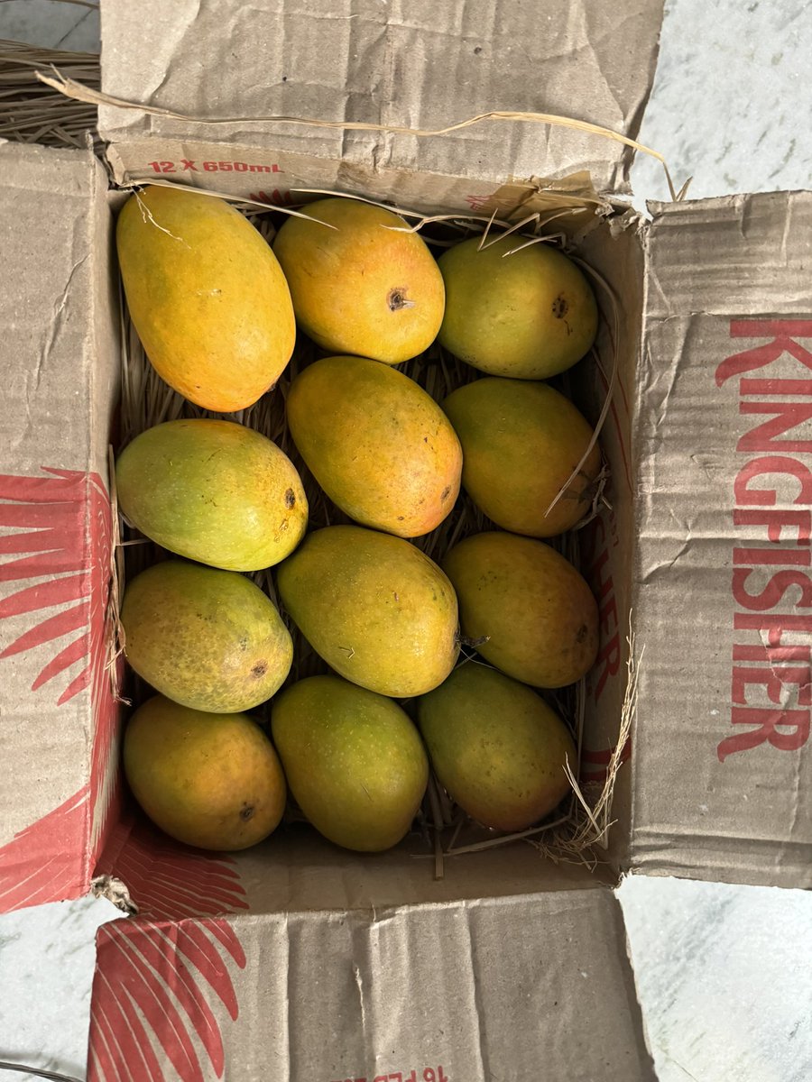 If you want to taste Authentic Ratnagiri Alphonso mango then contact @iWinnerJain . He will supply you directly.