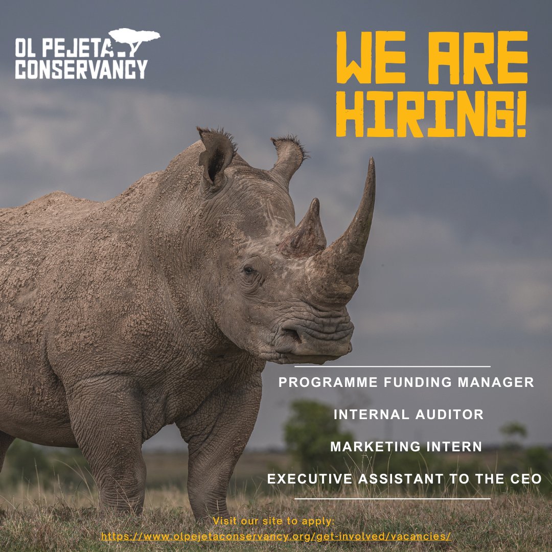 Join our team!
We are on the lookout for talented individuals for multiple positions, offering unique opportunities to make a difference in wildlife conservation, tourism, hospitality, fundraising and more

#WeAreHiring #JoinTheTeam #WorkAtOlPejeta #IkoKaziKe #CareerOpportunities