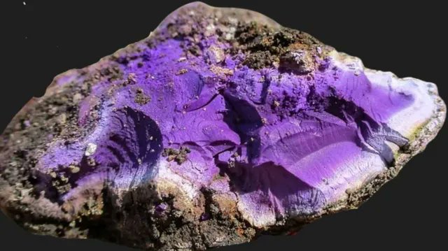 Roman snail dye found in UK for first time. The chunk of Tyrian purple, which was mixed with beeswax to preserve it, was dug up at Carlisle Cricket Club as part of ongoing yearly excavations. Photo credit Frank Giecco #RomanBritain bbc.com/news/articles/…
