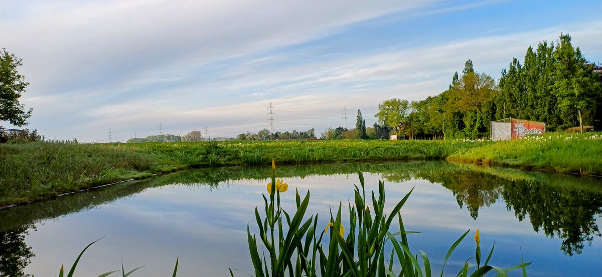 #vrtweer Ronny Popelier Hulste 7h15