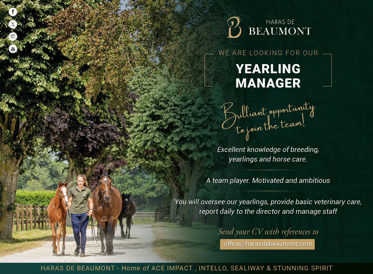 🇬🇧⭐️ WE ARE LOOKING FOR OUR YEARLING MANAGER! 👉🏻 Send your CV with references to office@harasdebeaumont.com📍