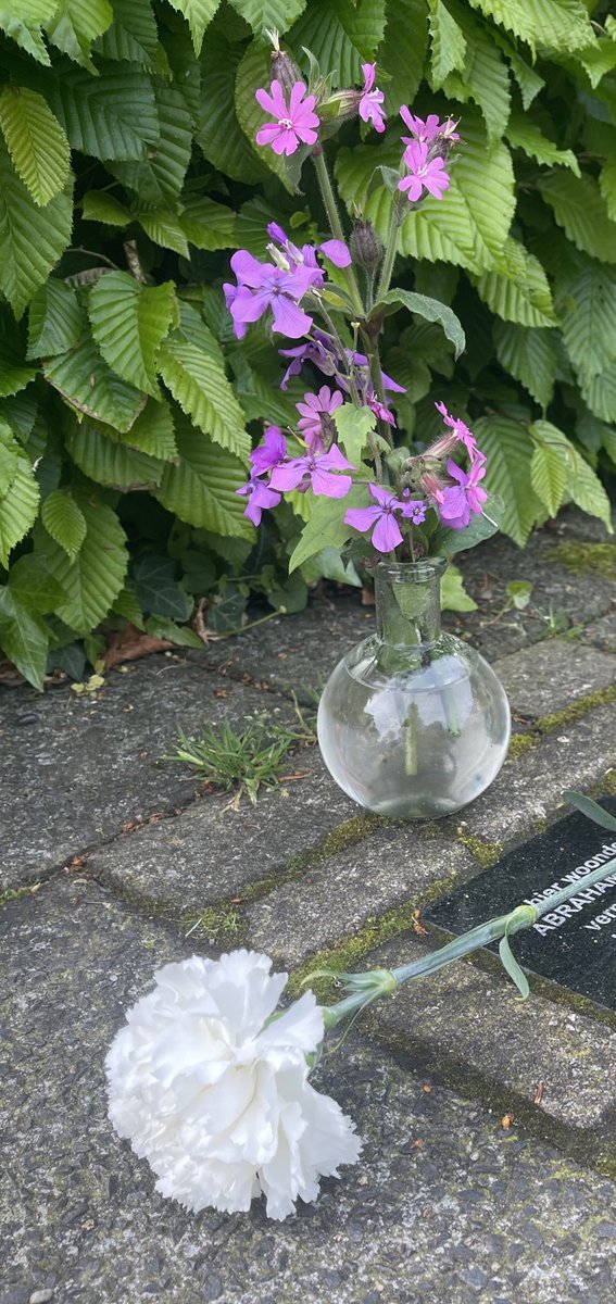 Twee dames met fietstassen vol anjers vroegen me vanochtend naar  de weg in mijn buurt. Ze leggen bij elke struikelsteen een bloem. Dus ook bij het huis van een buurman uit het verleden. 
#4mei