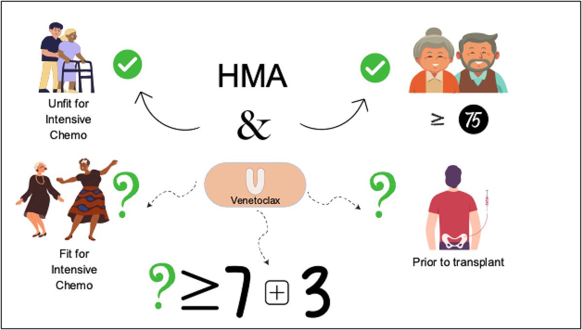 The approach of HMA plus VEN with or without BMT for all patients with AML ashpublications.org/hematology/art… #leusm