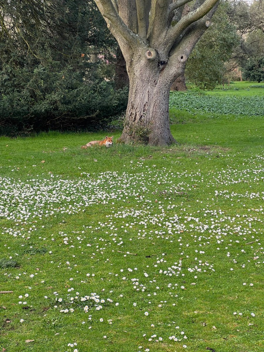 011Flopy's tweet image. "A touch of nature makes the whole world relative." -