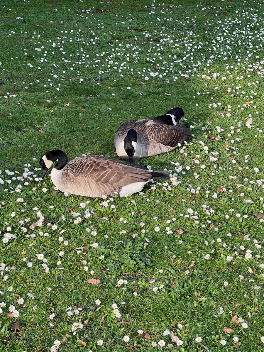 011Flopy's tweet image. "A touch of nature makes the whole world relative." -