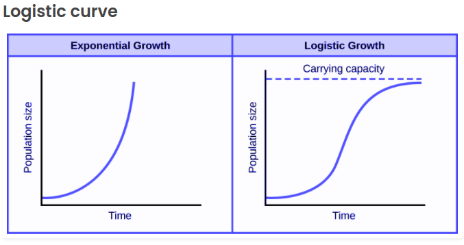 <a href="/tommybutcher/">Tommy Butcher ᛤ Web3</a> I understand 10x every halving cycle is not easy too grasp. I remember in 2015 when bitcoin was $400 and I made my first investment, most people said it would not again 10x in 4 years and that the price curve would flatten. Then in 2019 BTC was $4000, my first 10x, and I wrote