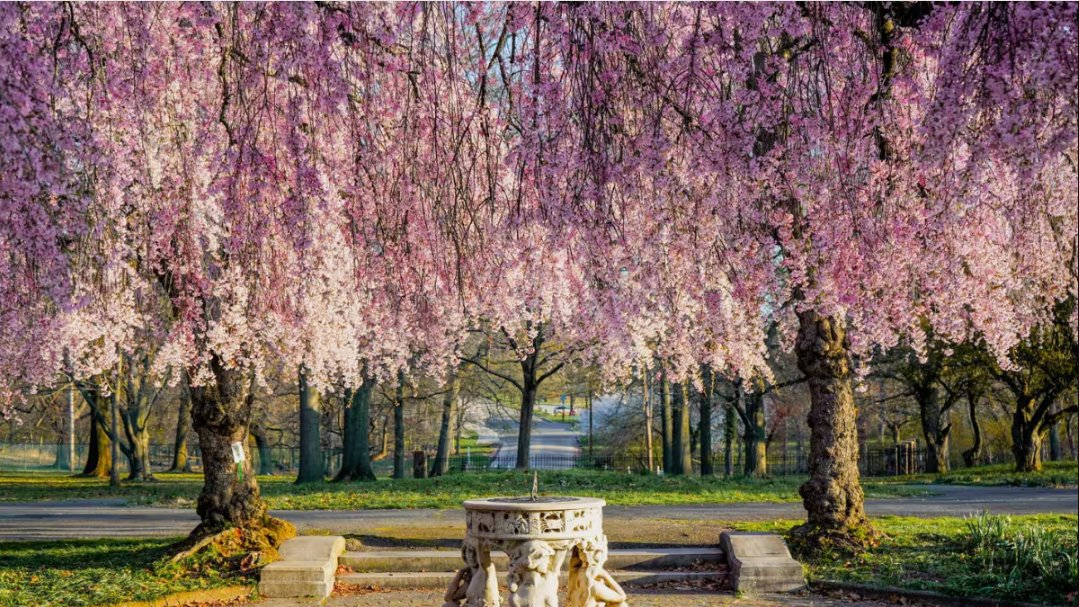 Travel 2024: A Spring Fling in Philadelphia in USA

newsboxer.com/blog/blogdesc/…

#travel2024 #spring #springfling #philadelphia #visitusa
#visitus #travelusa #TravelAmerica #AmericanTourister
