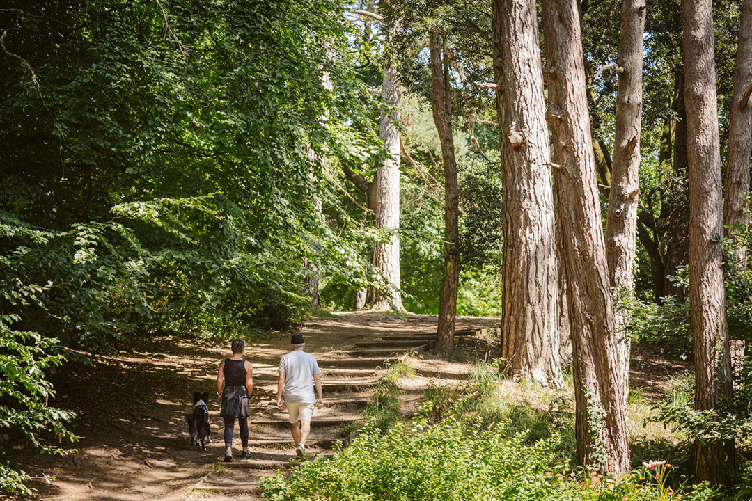 May is National Walking Month, read our blog on countryside, urban and coast path walks in Swansea Bay. Which one will you do this weekend? 👉 loom.ly/gFhivxY