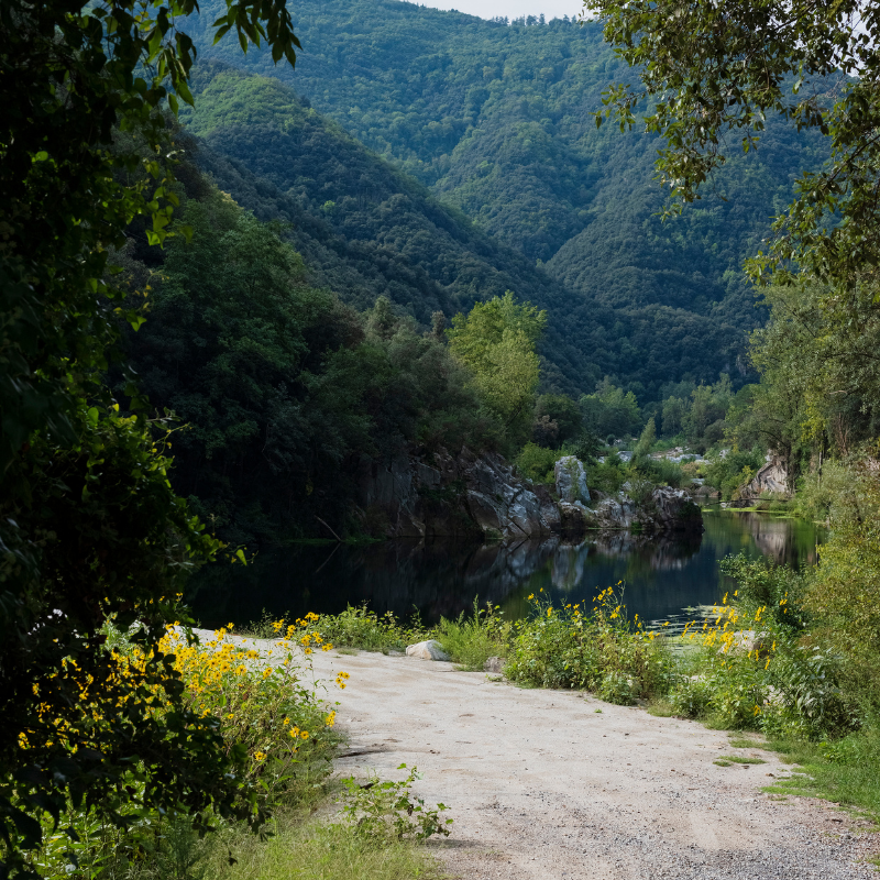 Hola! Saps on és la Selva? 

📍 Entre les capitals de Girona i Barcelona, amb molt bones connexions, trobaràs un espai de luxe amb una gran diversitat de paisatge: la comarca de la Selva!

#LaSelvaTurisme