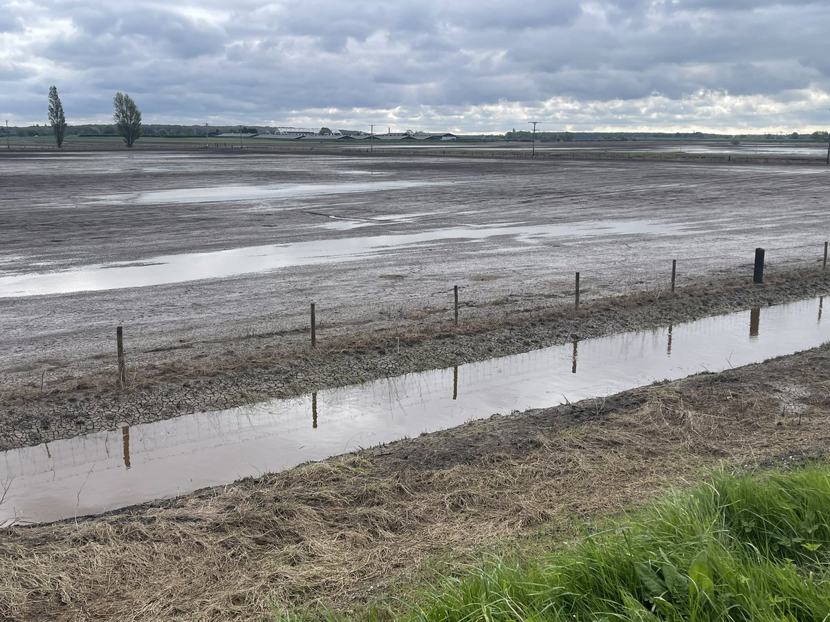 Even though the water has now receded @Henry_Ward91 is still facing this! The farmers who were affected by the flooding need support to get through this - our problems with flooding are (hopefully) over now but theirs aren’t!!
